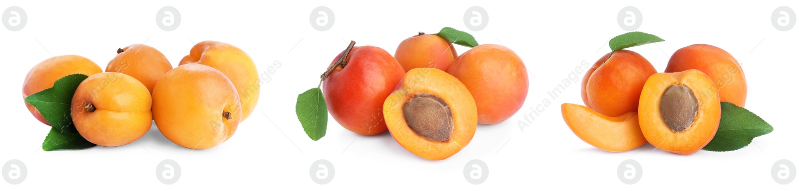 Image of Set of fresh apricots on white background. Banner design