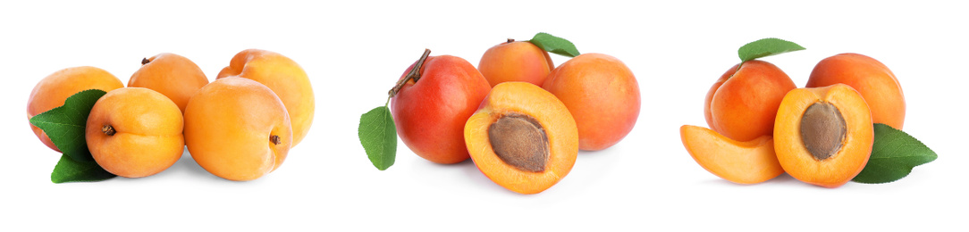 Image of Set of fresh apricots on white background. Banner design