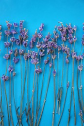 Photo of Beautiful lavender flowers on blue background, flat lay