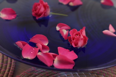 Photo of Pink roses and petals in bowl with water on table, closeup