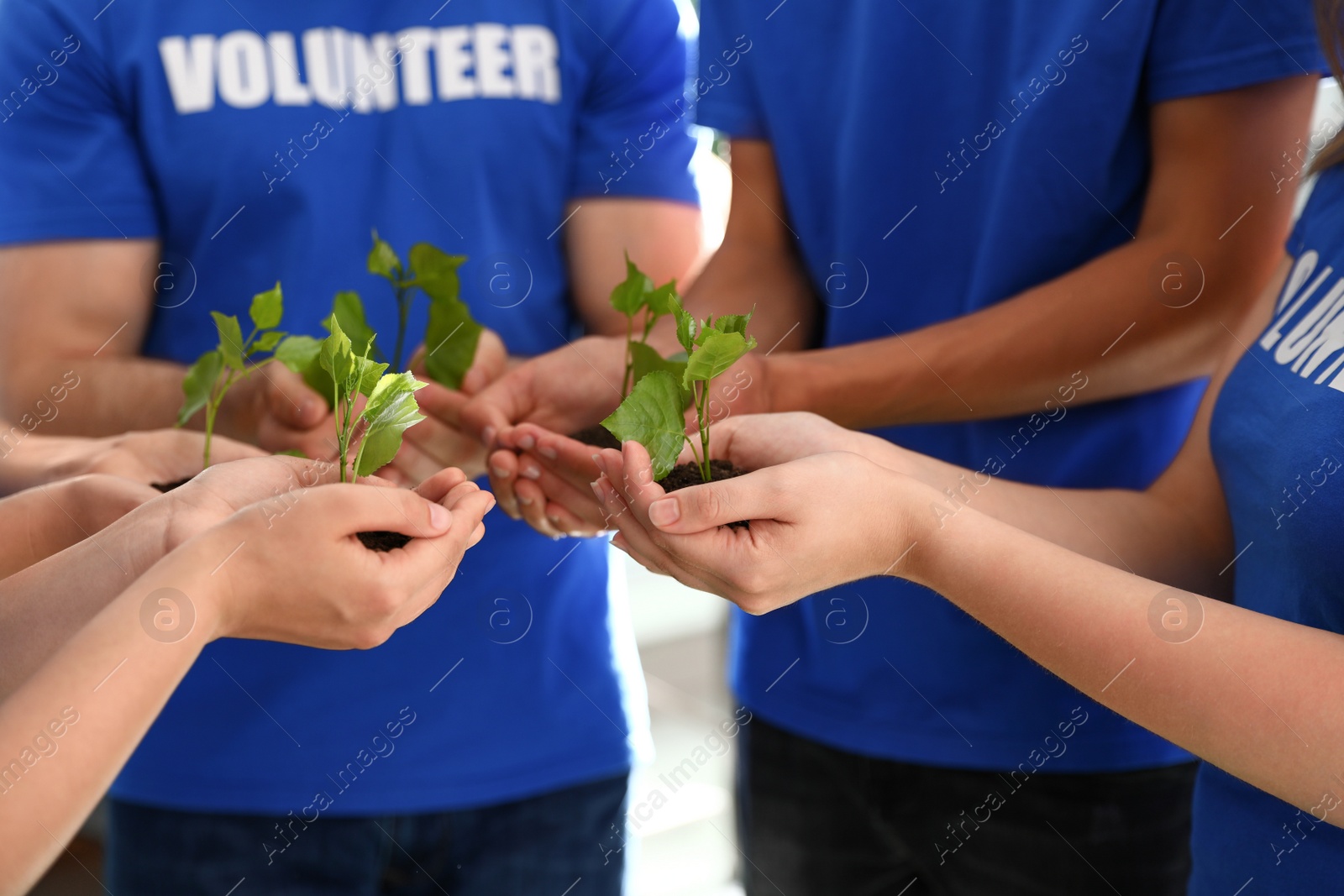 Photo of Group of volunteers holding soil with sprouts in hands outdoors, closeup