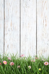 Vibrant green grass with beautiful flowers against white wooden background, space for text