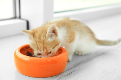 Photo of Cute little red kitten eating from bowl on floor