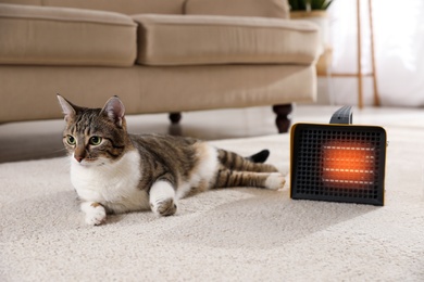 Photo of Cute cat on floor near modern electric fan heater indoors