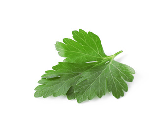 Photo of Aromatic fresh green parsley isolated on white