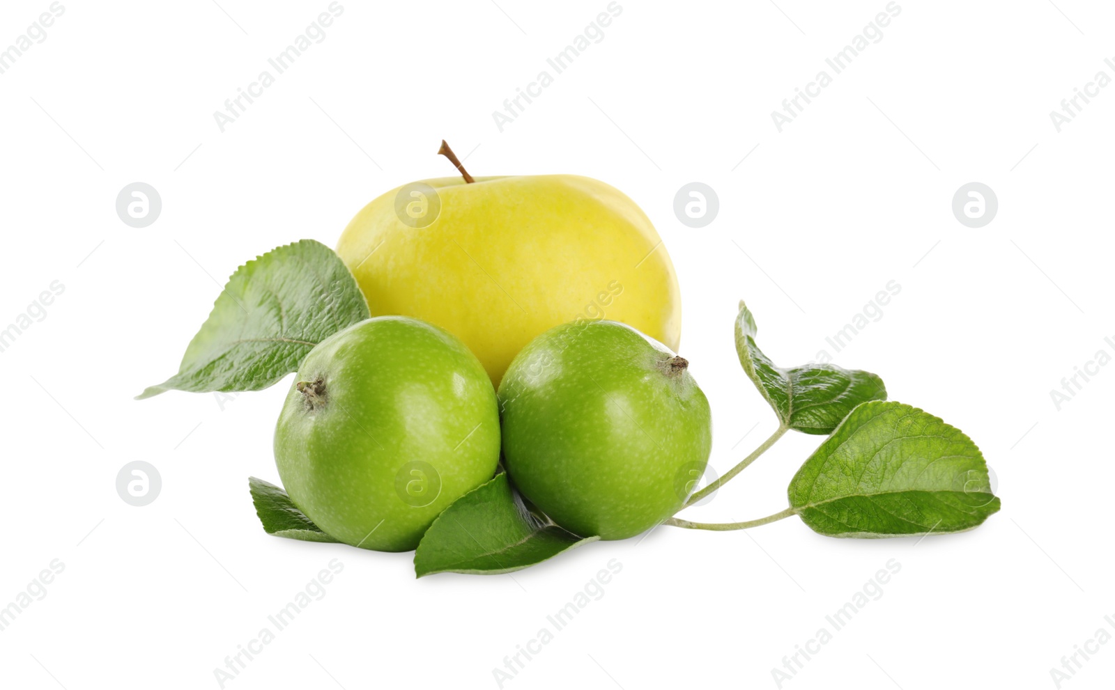 Photo of Fresh juicy apples with leaves isolated on white