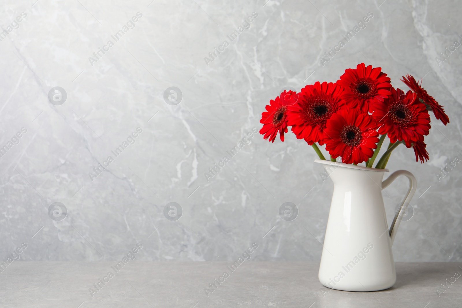 Photo of Bouquet of beautiful red gerbera flowers in ceramic jug on light grey background. Space for text