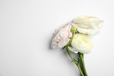 Photo of Beautiful ranunculus flowers on white background, top view