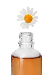 Essential oil dripping from chamomile petal into glass bottle on white background