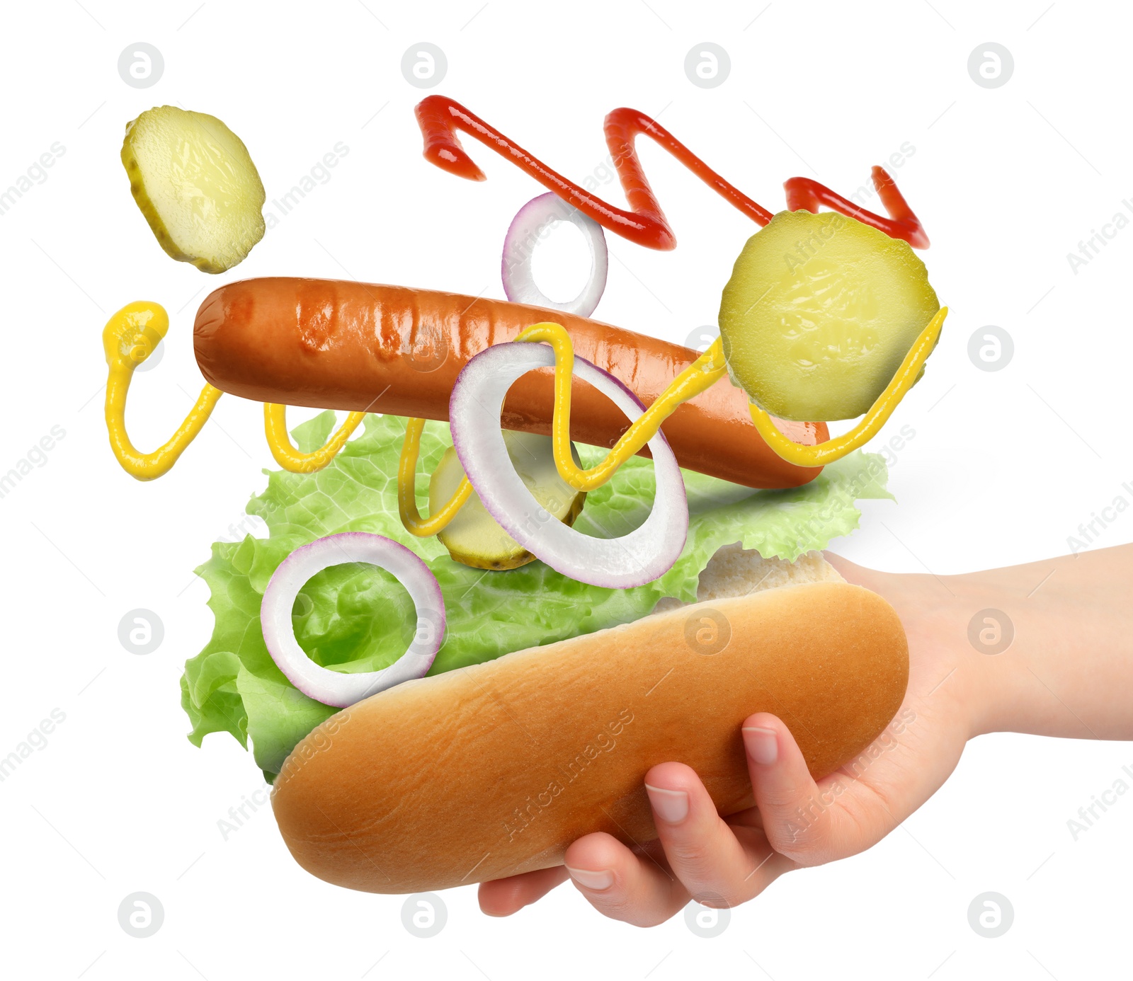 Image of Woman making hot dog on white background, closeup. Ingredients levitating over bun