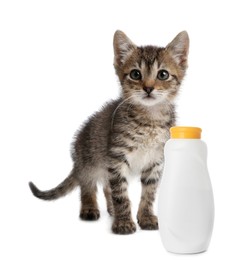 Image of Cute kitten and bottle of cat shampoo on white background