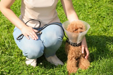 Photo of Woman with her cute Maltipoo dog in Elizabethan collar outdoors, closeup