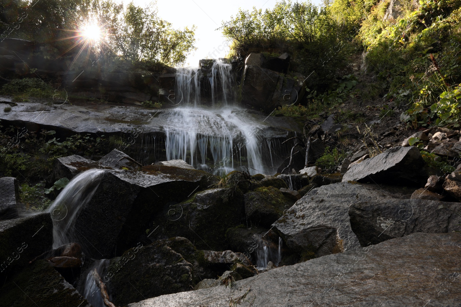 Photo of Picturesque view of mountain waterfall and green plants