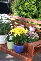 Many different beautiful blooming plants in flowerpots on wooden bench outdoors