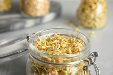 Glass jar of sprouted green buckwheat on light grey table, closeup