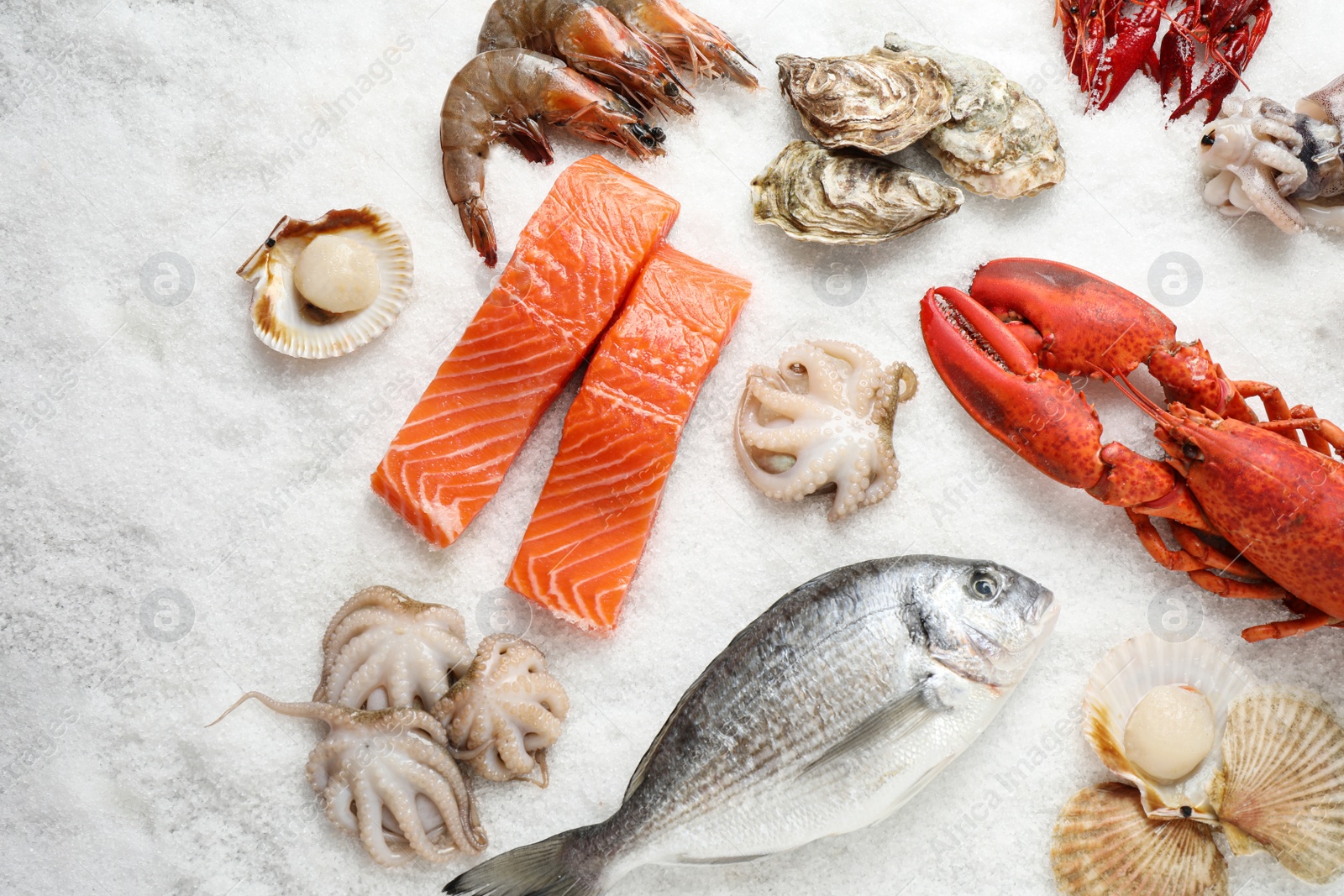 Photo of Fresh fish and seafood on ice, flat lay