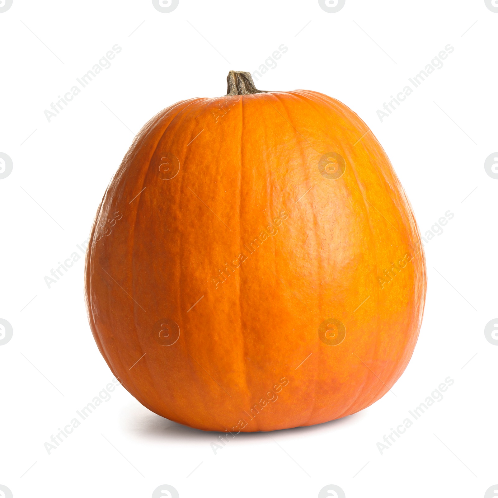 Photo of Fresh ripe pumpkin isolated on white. Organic plant