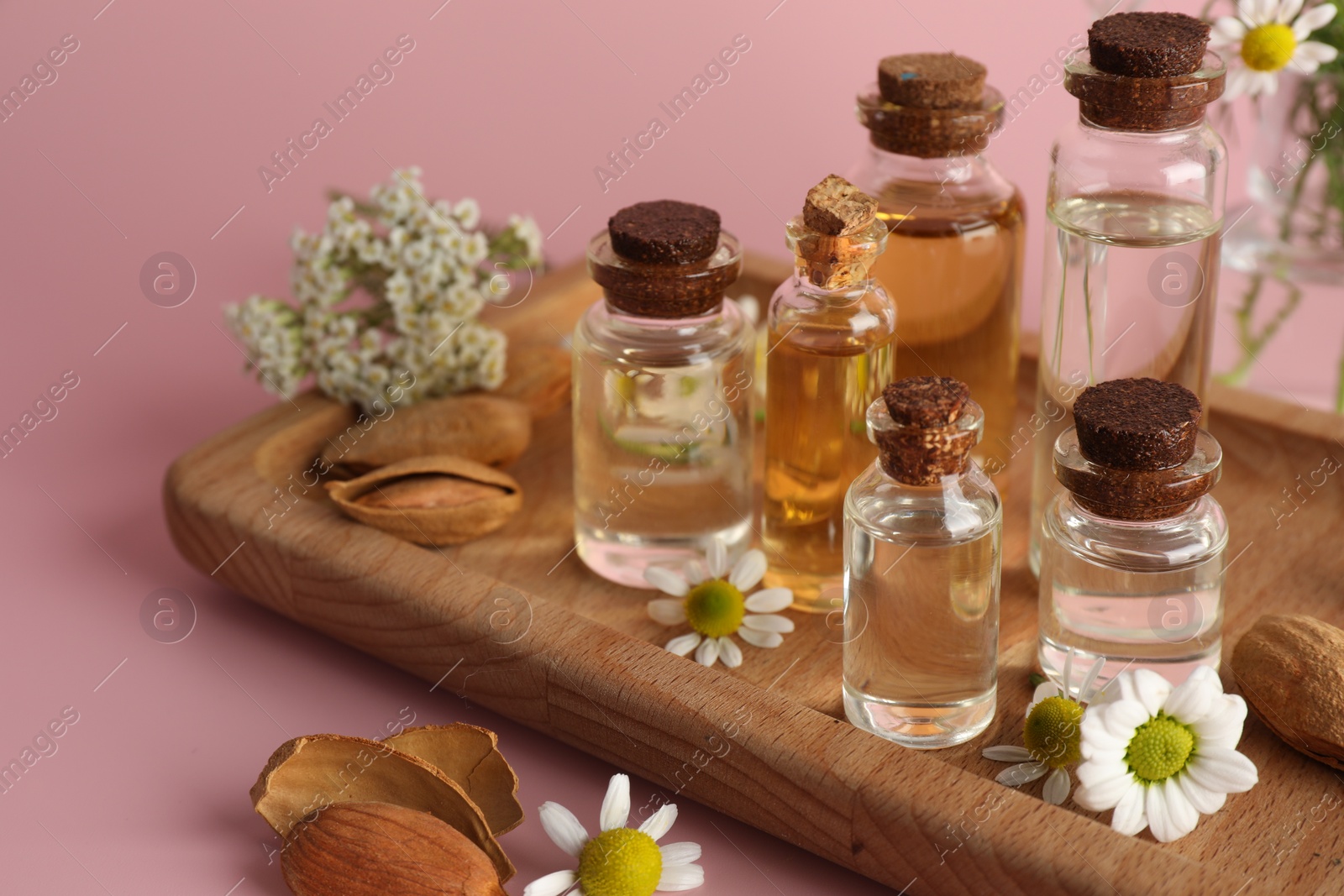 Photo of Aromatherapy. Different essential oils, flowers and almonds on pink background