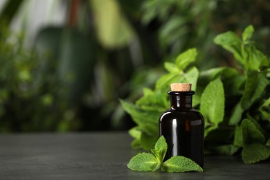 Photo of Bottle of mint essential oil and green leaves on grey table, space for text