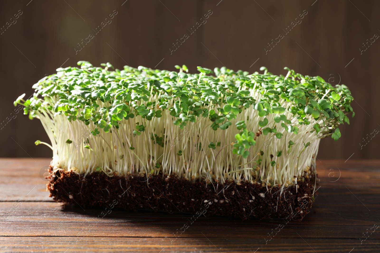 Photo of Fresh organic microgreen in soil on wooden table