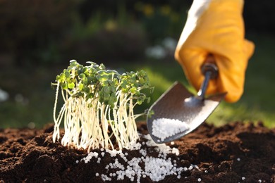 Photo of Man fertilizing soil with growing young microgreens outdoors, selective focus