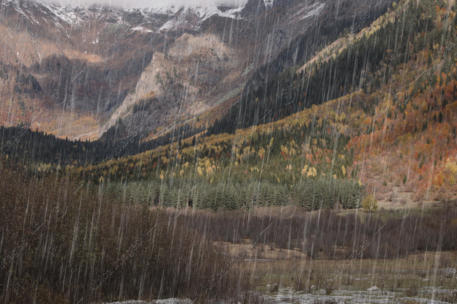 Image of Picturesque view of mountain landscape with forest and meadow on rainy day