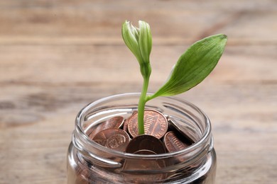 Glass jar with coins and flower on wooden table, closeup. Investment concept