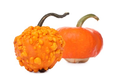 Photo of Two fresh orange pumpkins isolated on white