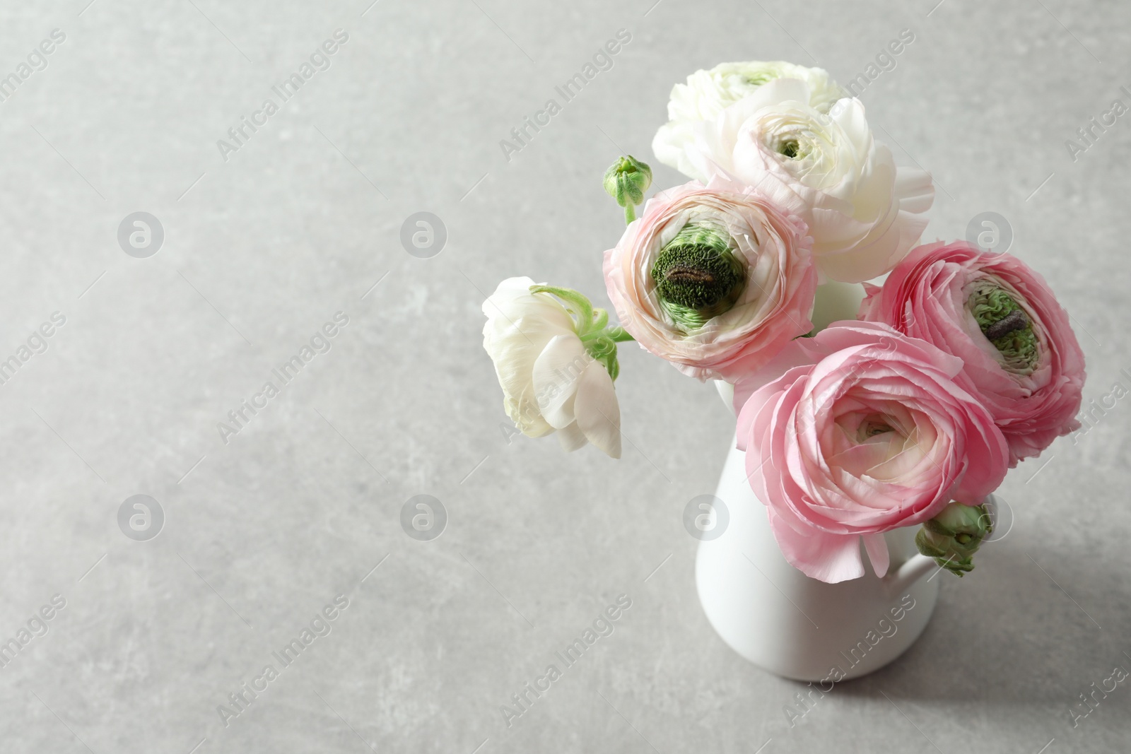 Photo of Vase with beautiful ranunculus flowers on light background