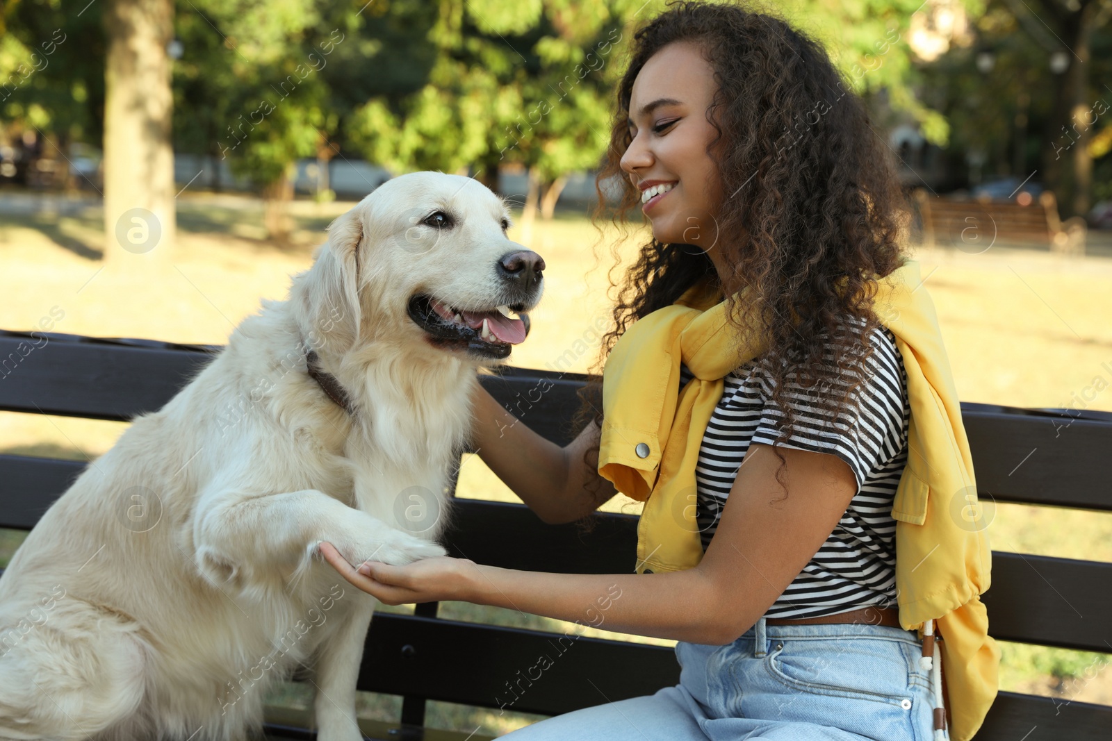 Photo of Young African-American woman and her Golden Retriever dog on bench in park