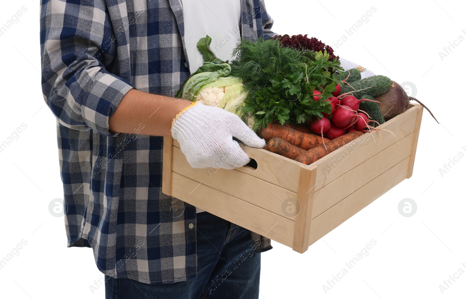 Photo of Harvesting season. Farmer holding wooden crate with vegetables on white background, closeup