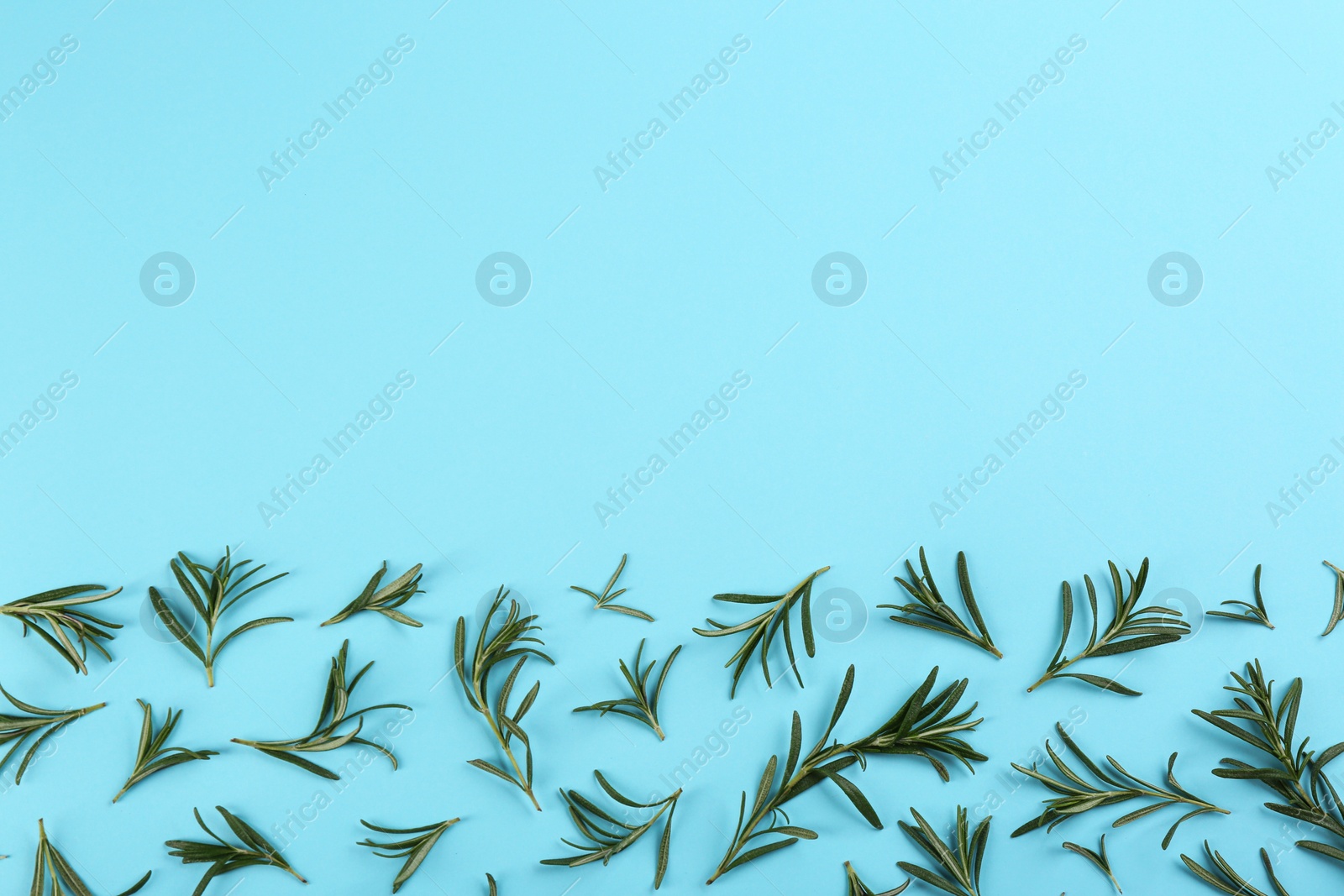 Photo of Flat lay composition with fresh rosemary on light blue background. Space for text