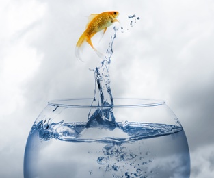 Beautiful goldfish jumping out of water against cloudy sky 