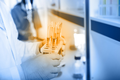 Image of Scientist holding test tubes with liquid indoors, closeup. Laboratory analysis