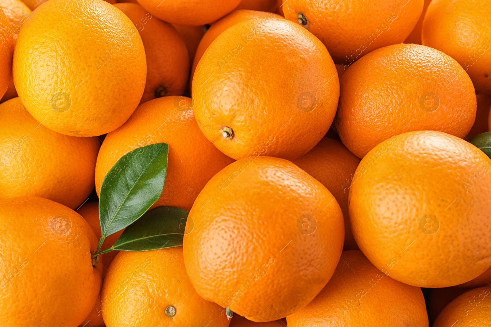 Photo of Pile of fresh ripe oranges with leaves as background, top view