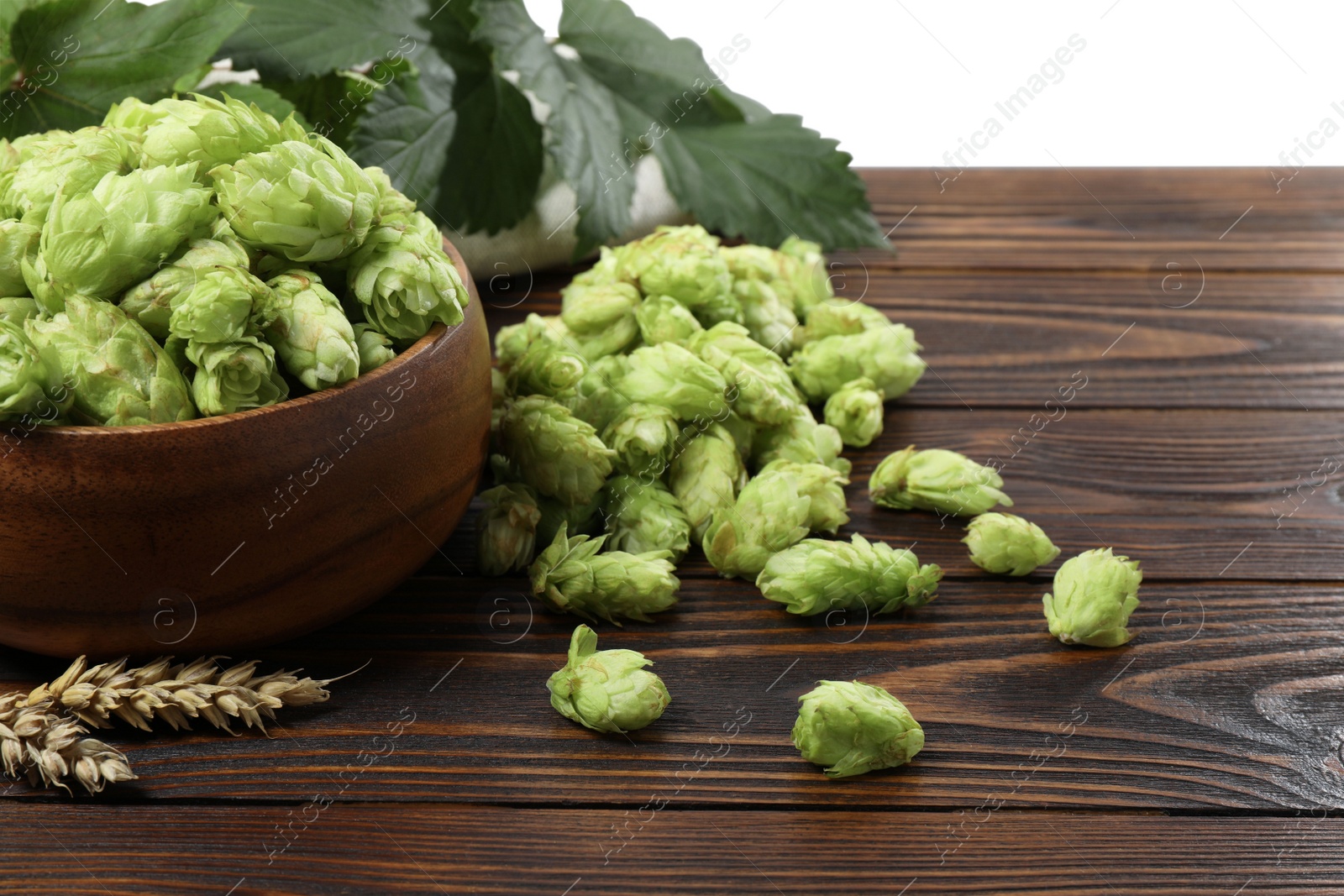 Photo of Fresh hop flowers and wheat ears on wooden table against light grey background