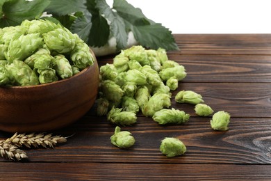 Fresh hop flowers and wheat ears on wooden table against light grey background