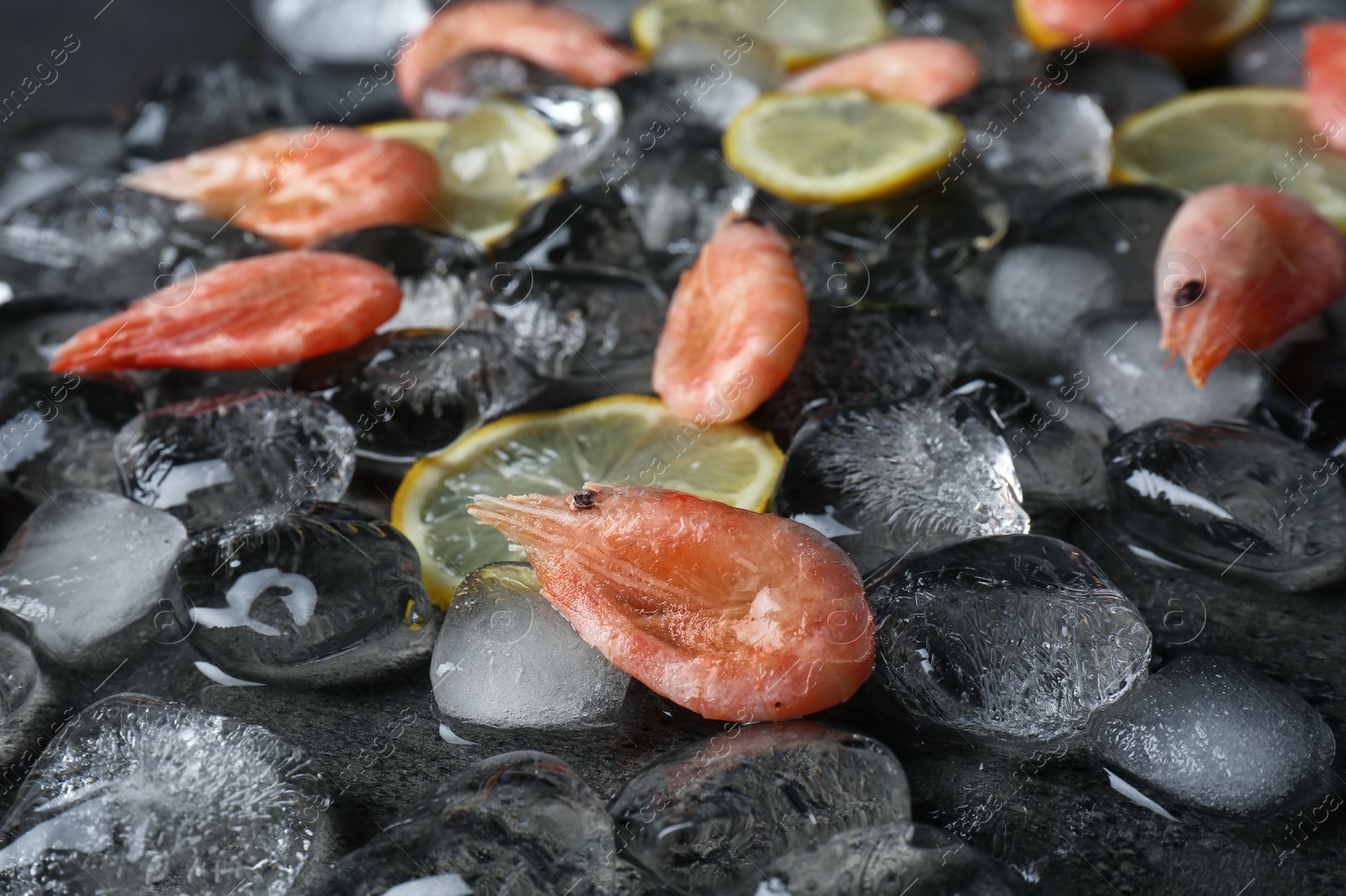 Photo of Shrimps, lemon slices and ice cubes on table