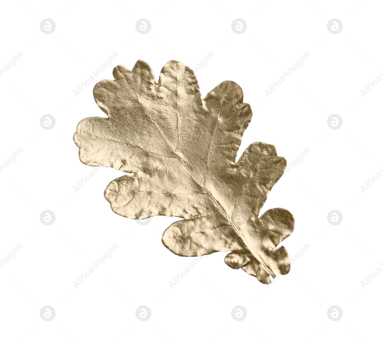 Photo of One golden oak leaf isolated on white. Autumn season