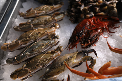 Photo of Fresh swimming crabs and other seafood on ice. Wholesale market