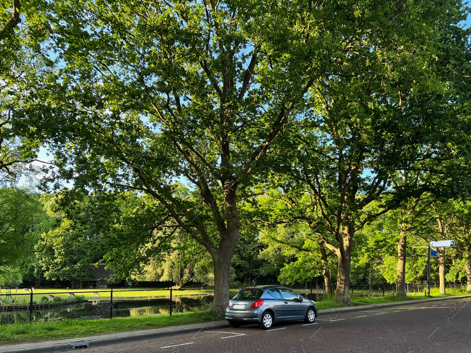 Photo of Modern car parked near lake on sunny day