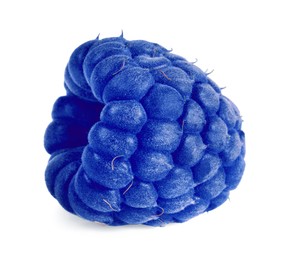 Image of One fresh blue raspberry isolated on white