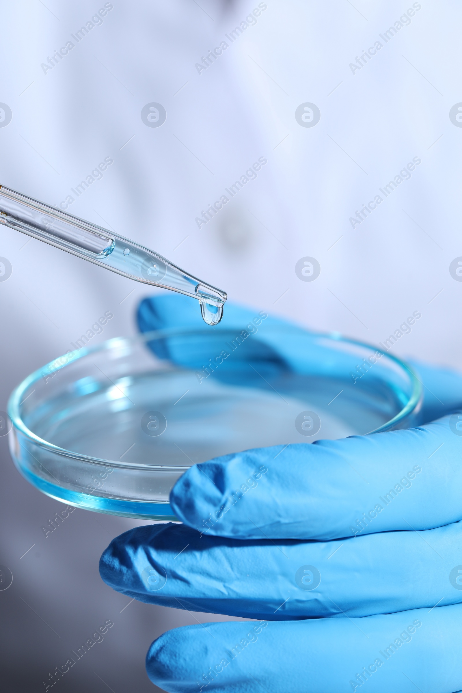 Photo of Scientist dripping liquid from pipette into petri dish, closeup