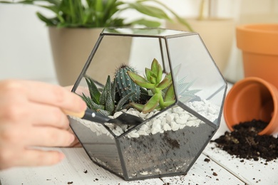 Photo of Woman transplanting home plants into florarium at table, closeup