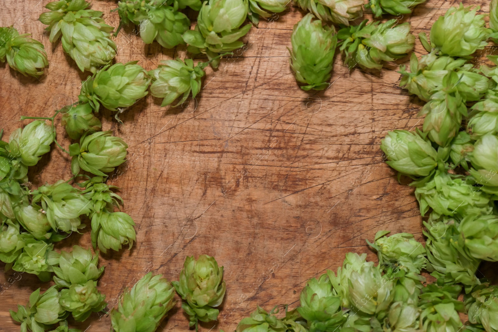 Photo of Frame of fresh green hops on wooden table, flat lay. Space for text