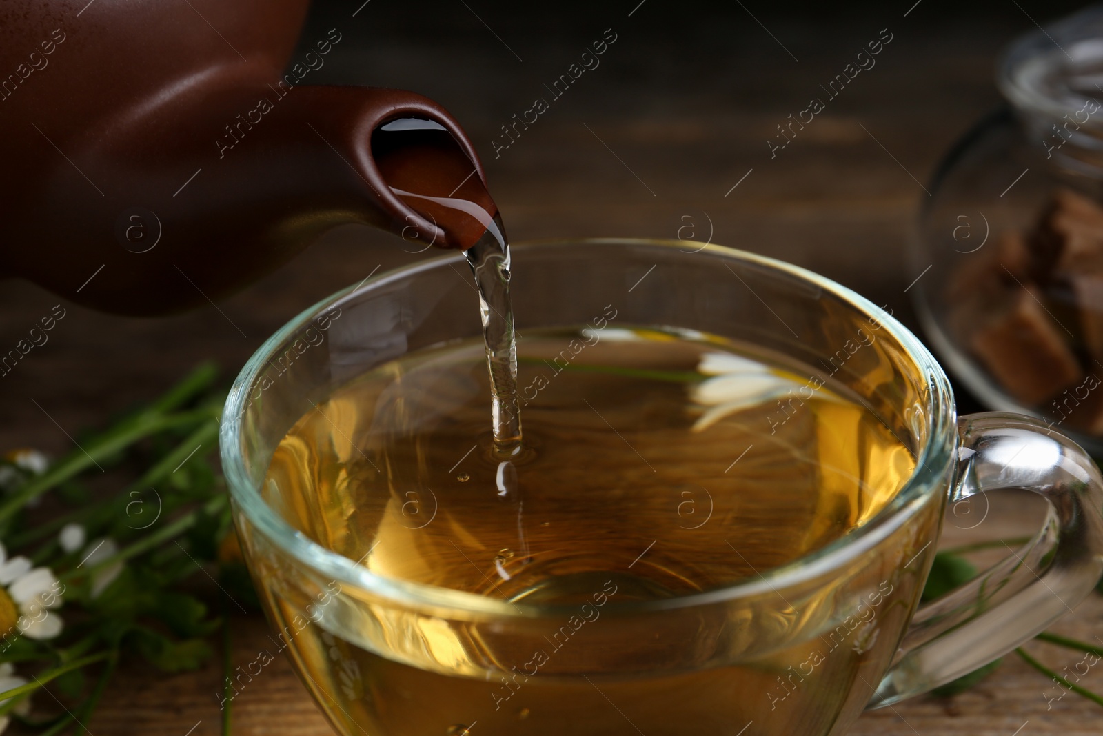 Photo of Pouring tasty chamomile tea into glass cup on table, closeup