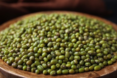 Photo of Closeup view of wooden bowl with green mung beans