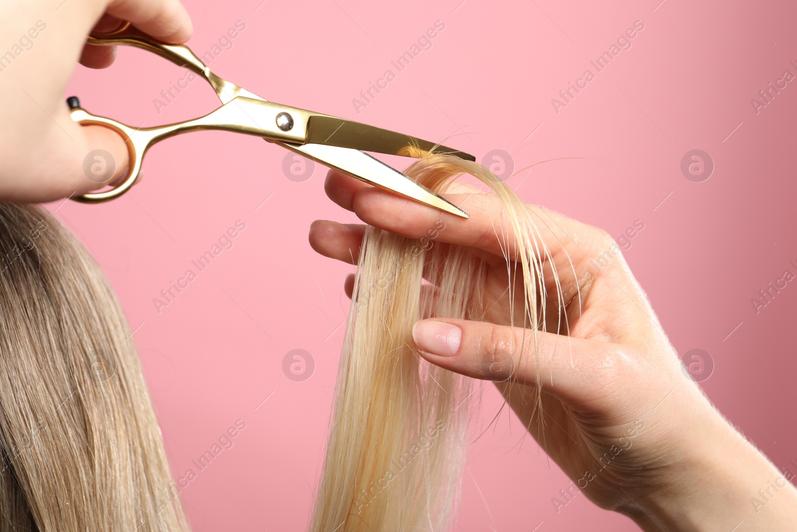 Photo of Hairdresser cutting client's hair with scissors on pink background, closeup