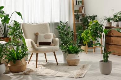 Photo of Relaxing atmosphere. Many different potted houseplants around stylish armchair in room