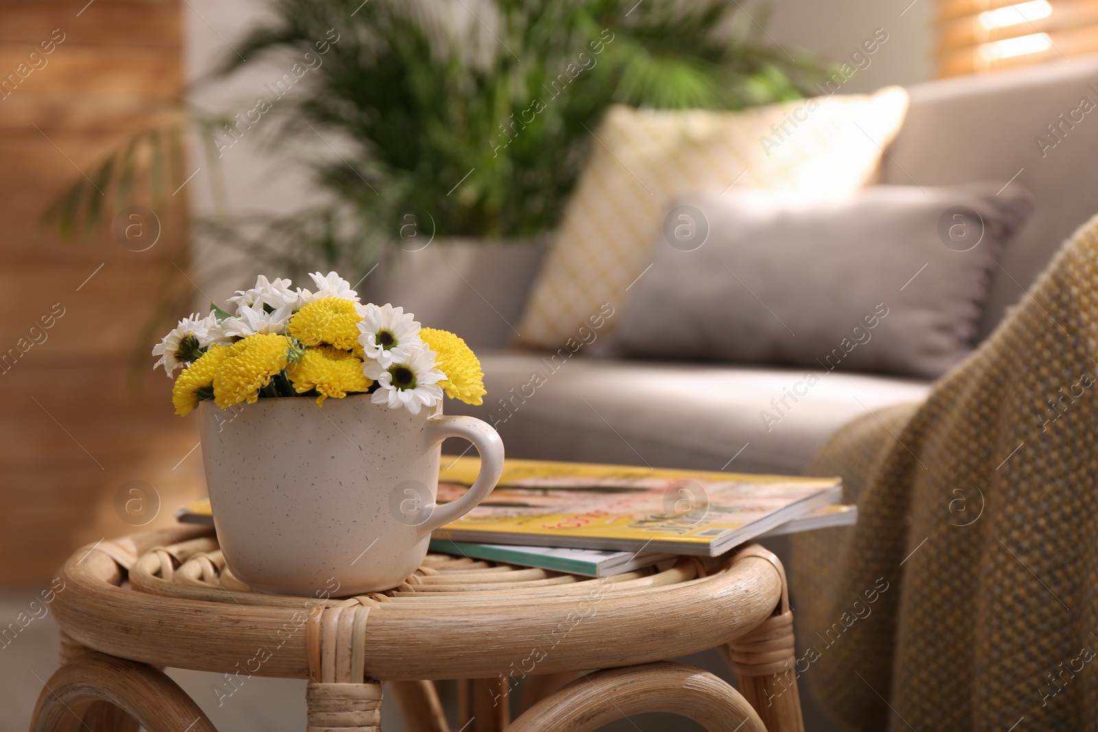 Photo of Cup with beautiful bright flowers on table in living room, space for text